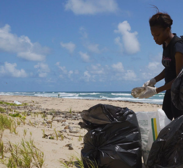 beach cleanup